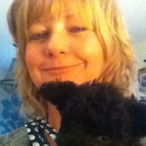 Meet your Posher, Kim